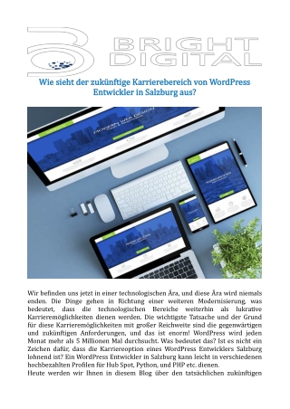 Wie sieht der zukünftige Karrierebereich von WordPress Entwickler in Salzburg aus?