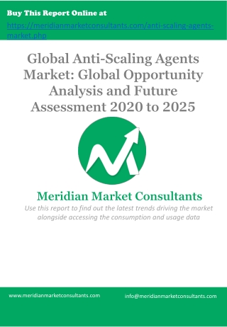 Anti-Scaling Agents Market Size, Share Analysis Report & Global Forecast till 2025