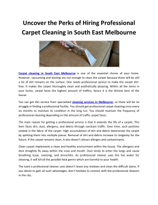 Uncover the Perks of Hiring Professional Carpet Cleaning in South East Melbourne