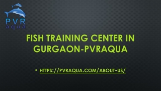 Fish Training Center in Gurgaon-PVRAQUA