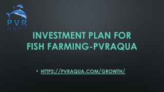 Investment plan for fish farming-PVRAQUA