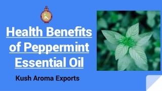 Health Benefits of Peppermint Essential Oil- Kush Aroma Exports