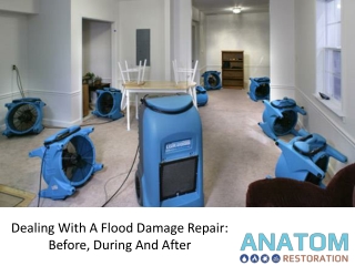 Dealing with a Flood Damage Before, During and After