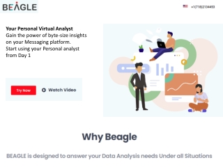 Virtual Business Analyst Solution, Virtual Data Analyst Solution – Beagle