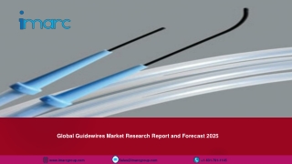 Guidewires Market Report and Forecast 2020-2025 With COVID-19 Update