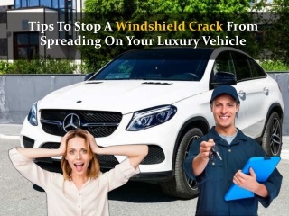 Tips To Stop A Windshield Crack From Spreading On Your Luxury Vehicle