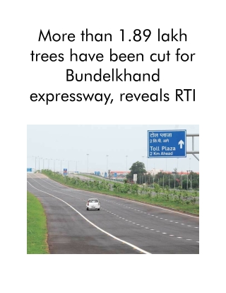 More Than 1.89 Lakh Trees Have Been Cut for Bundelkhand Expressway, Reveals RTI