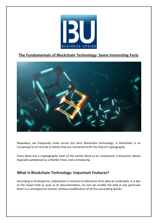 The Fundamentals of Blockchain Technology: Some Interesting Facts