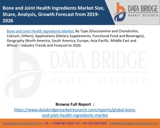 Bone and Joint Health Ingredients Market Size, Share, Analysis, Growth Forecast from 2016-2026