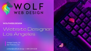 Website Designer Los Angeles | Wolfwebdesign