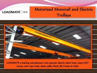 Motorized Monorail and Electric Trolleys