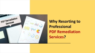 Why Resorting to Professional PDF Remediation Services?