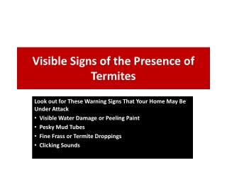 Visible Signs of the Presence of Termites
