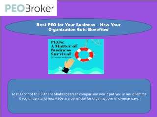 Best PEO for Your Business – How Your Organization Gets Benefited