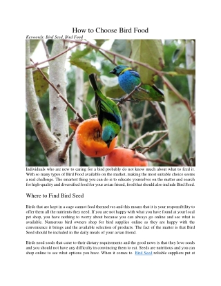How to Choose Bird Food