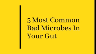 5 Most Common Bad Microbes In Your Gut