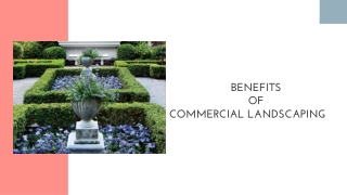 Benefits of commercial landscaping