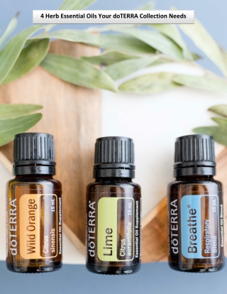 4 Herb Essential Oils Your doTERRA Collection Needs