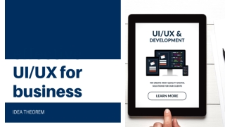 ui ux web developer