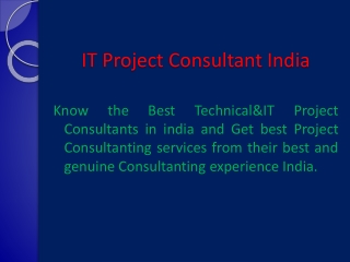 It project consultant india