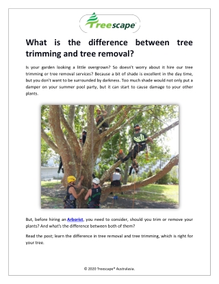 What is the difference between tree trimming and tree removal?