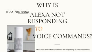 Why Alexa Is Not Responding Fix now 1-8007956963 Alexa Not Working