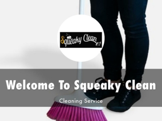 Detail Presentation About Squeaky Clean