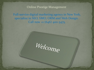 Importance Of Professional Web Design Services New York