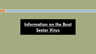 Information on the Boot Sector Virus