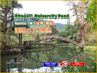 Xitou [1] University Pond, Nantou, TW. (台灣 南投 溪頭 [1] 大學池)