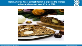 2020 Edition North America Yeast Extract Market Report with Impact of COVID-19|Top Leaders