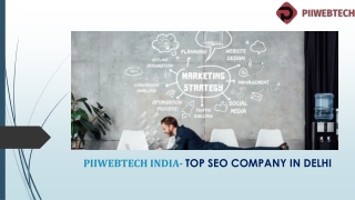 PIIWEBTECH INDIA- Top SEO Company In Delhi