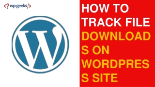 How to Track File Downloads on WordPress Site