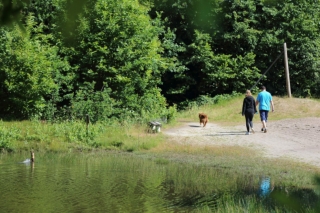 Baalse Hei - Vakantie met hond Belgie