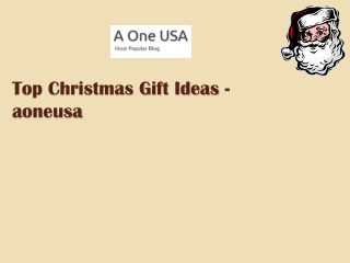 Top Christmas Gift Ideas - aoneusa