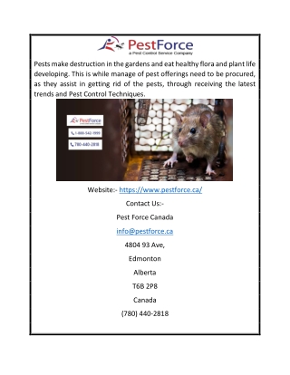 Pest Control Edmonton | Pestforce.ca