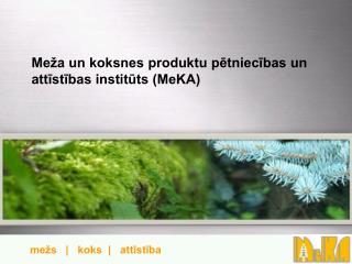 Meža un koksnes produktu pētniecības un attīstības institūts (MeKA)