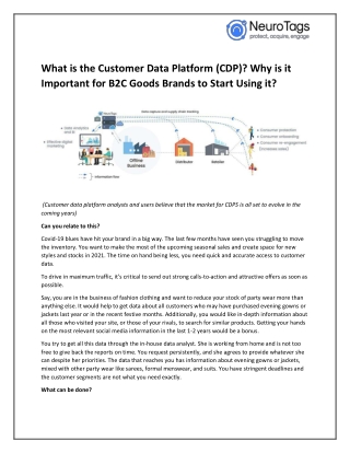 What is the Customer Data Platform (CDP)? Why is it Important for B2C Goods Brands to Start Using it?