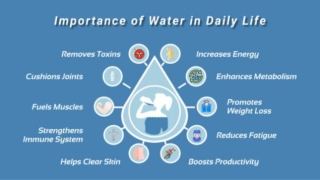 Water for life – Why is Water so Important to Us?