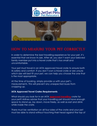 JetSet Pets - Measure Your Pet To Be Prepared For Pet Travel