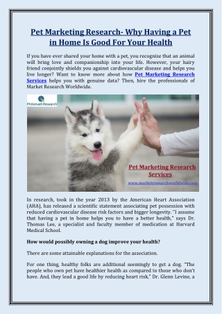Pet Marketing Research- Why Having a Pet in Home Is Good For Your Health