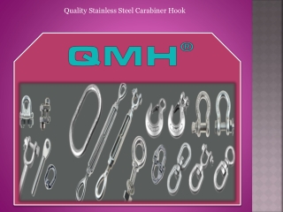 Quality Stainless Steel Carabiner Hook