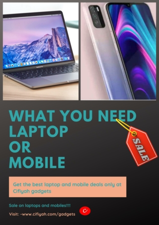 Mobile vs Laptop which is more needed?