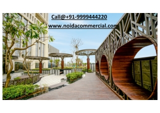 Ace Capitol Sector 132 Noida -Your Best Commercial Project for Business Investment!