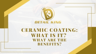 Ceramic Coating Services Christchurch | Detail King NZ