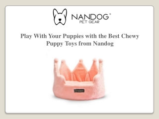 Play With Your Puppies with the Best Chewy Puppy Toys from Nandog