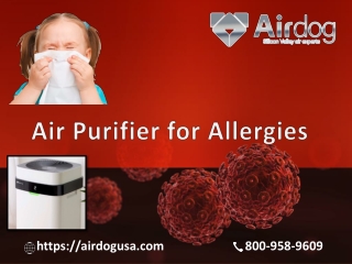 Purchase Air Purifier for Allergies for your home at cost-effective price - Airdog USA