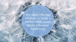 The Most Effective Method to Make a Perfect Web-based Media Influencer Agreement