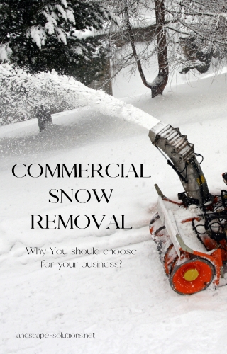 Why You Should Choose Commercial Snow Removal Services for your Business