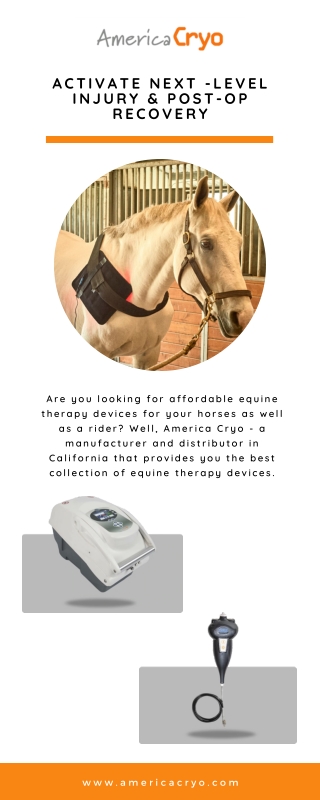 Laser Therapy for Horses
